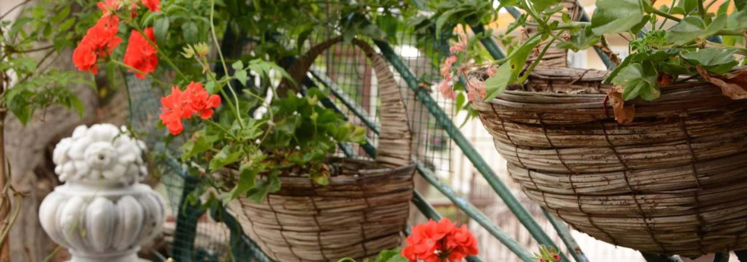 Büyükada Anastasia Meziki Butik Otel