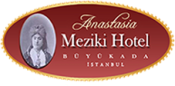 logo_meziki