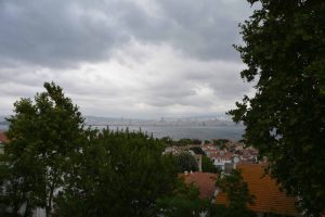 DSC_9833